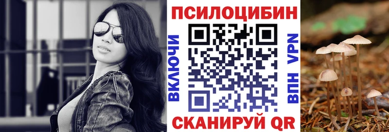 что такое   Ликино-Дулёво  Галлюциногенные грибы Psilocybine cubensis 